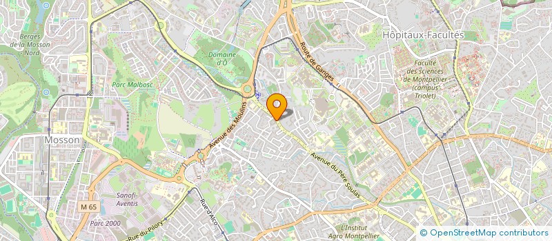 localisation de l'entreprise MONSIEUR LOUIS FURIC  MONTPELLIER