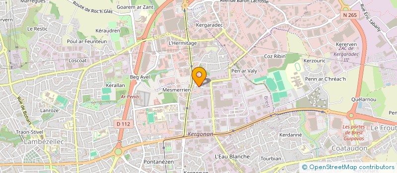 localisation de l'entreprise MONSIEUR LOUIS GUEGUEN à BREST