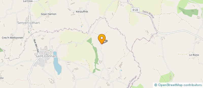 localisation de l'entreprise MONSIEUR LOUIS LEMENER  SAINT-CONNAN