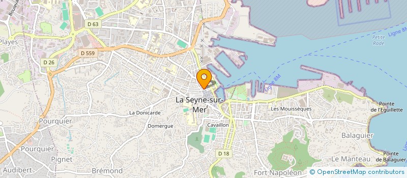 localisation de l'entreprise MONSIEUR LOUIS MALDONADO à LA SEYNE-SUR-MER