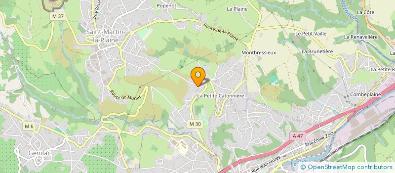 localisation de l'entreprise MONSIEUR LOUIS MEILLER  SAINT-MARTIN-LA-PLAINE