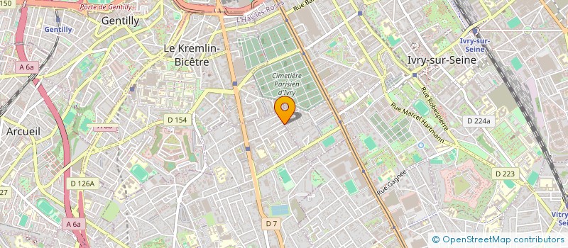 localisation de l'entreprise MONSIEUR LOUIS NGUYEN  VILLEJUIF