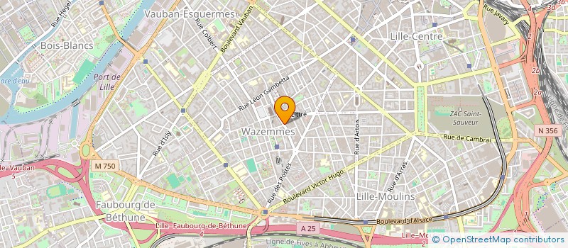 localisation de l'entreprise MONSIEUR LOUIS-NICOLAS LEURENT à LILLE
