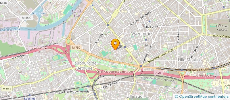 localisation de l'entreprise MONSIEUR LOUIS OLIVIER MARTIN PREVEL  LILLE