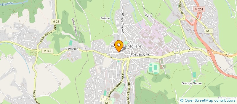 localisation de l'entreprise MONSIEUR LOUIS PEREIRAPESTANA  ROCHE-LA-MOLIERE