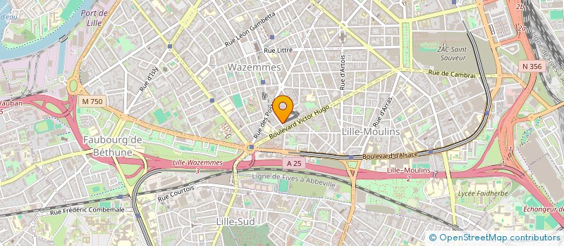 localisation de l'entreprise MONSIEUR LOUIS PIERRE FABIEN SWYNGEDAUW à LILLE