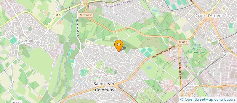 localisation de l'entreprise MONSIEUR LOUIS RAVERDY  SAINT-JEAN-DE-VEDAS