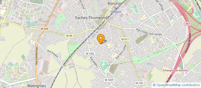 localisation de l'entreprise MONSIEUR LOUIS REQUIN  FACHES-THUMESNIL