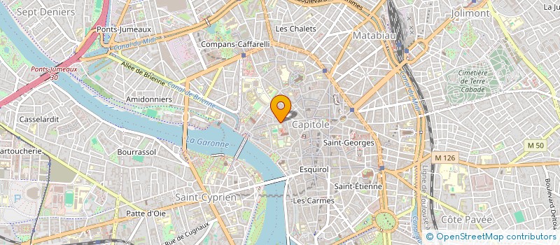 localisation de l'entreprise MONSIEUR LOUIS RUIZ  TOULOUSE