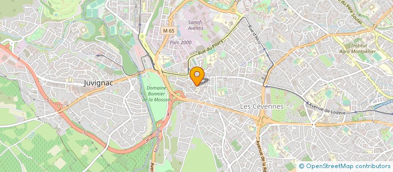 localisation de l'entreprise MONSIEUR LOUIS SANCHEZ à MONTPELLIER