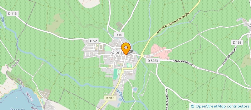 localisation de l'entreprise MONSIEUR LOUIS SARRIO  OLONZAC