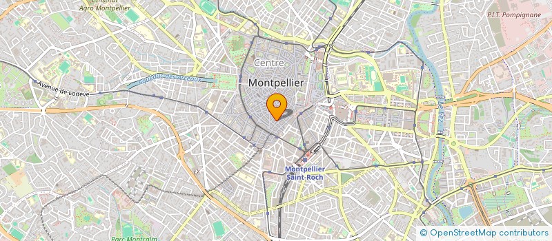 localisation de l'entreprise MONSIEUR LOUIS SUREL à MONTPELLIER