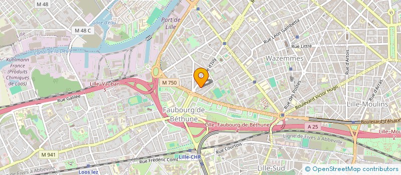 localisation de l'entreprise MONSIEUR LOUIS VANDAMME à LILLE