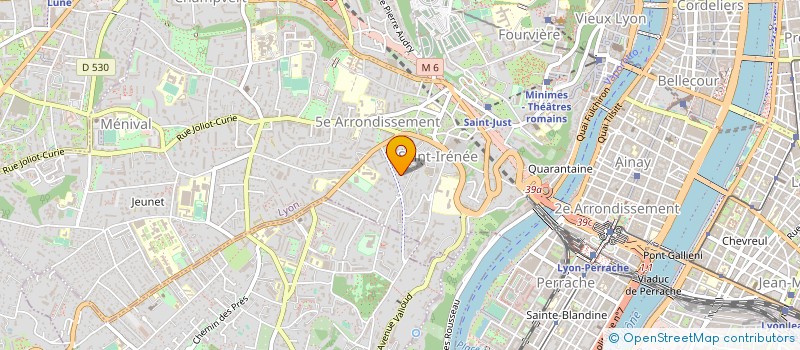 localisation de l'entreprise MONSIEUR LOUIS VERDIER  LYON