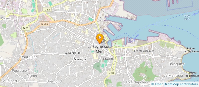 localisation de l'entreprise MONSIEUR LOUIS VIUDES  LA SEYNE-SUR-MER