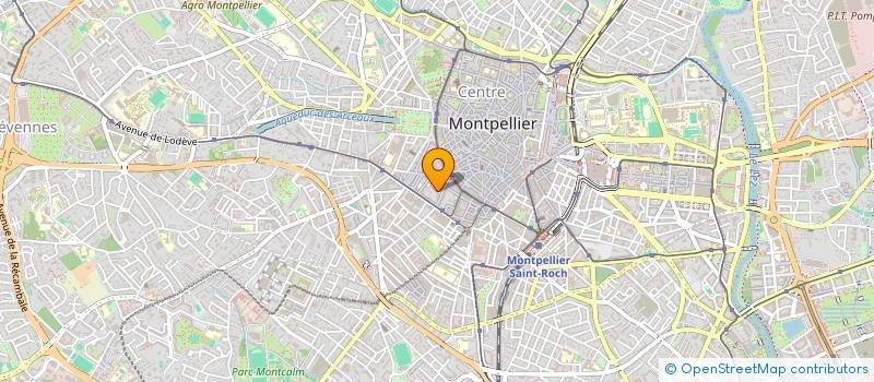 localisation de l'entreprise MONSIEUR LOUIS WAJCMAN à MONTPELLIER