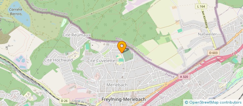 localisation de l'entreprise MONSIEUR LOUISON ESSE  FREYMING-MERLEBACH