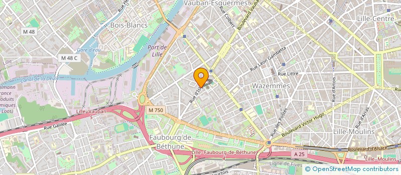 localisation de l'entreprise MONSIEUR LOUISON HELUIN à LILLE