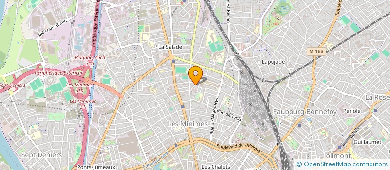 localisation de l'entreprise MONSIEUR LOUISON MAECHLER à TOULOUSE