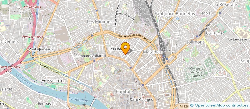 localisation de l'entreprise MONSIEUR LUC ASSENS  TOULOUSE