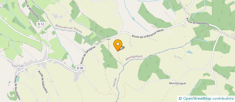 localisation de l'entreprise MONSIEUR LUC AVELANGE  MONTGAILLARD