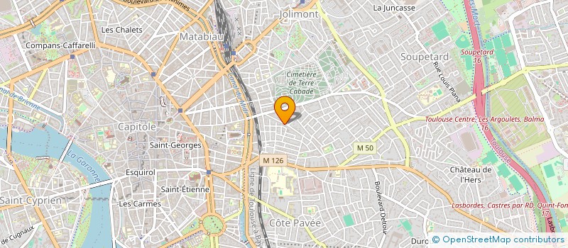 localisation de l'entreprise MONSIEUR LUC BONAVENTURE à TOULOUSE