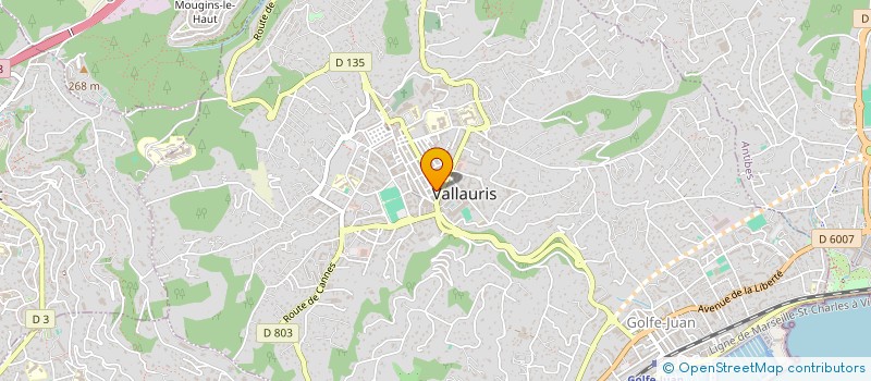 localisation de l'entreprise MONSIEUR LUC BOUVET à VALLAURIS