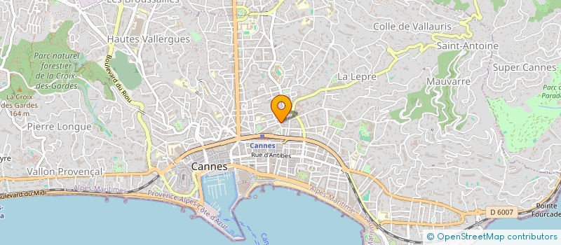 localisation de l'entreprise MONSIEUR LUC BUASSO à CANNES