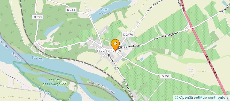 localisation de l'entreprise MONSIEUR LUC DUBOIS  TRACY-SUR-LOIRE