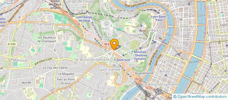 localisation de l'entreprise MONSIEUR LUC EISINGER à LYON