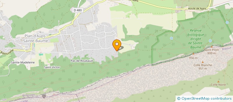 localisation de l'entreprise MONSIEUR LUC FANJEAUX  PLAN-D'AUPS-SAINTE-BAUME