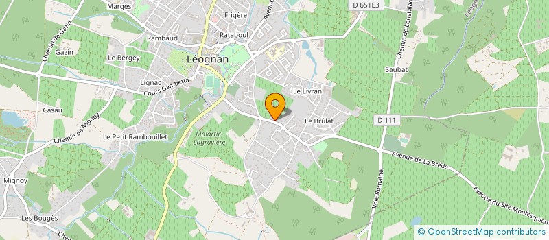 localisation de l'entreprise MONSIEUR LUC FOUCARD  LEOGNAN