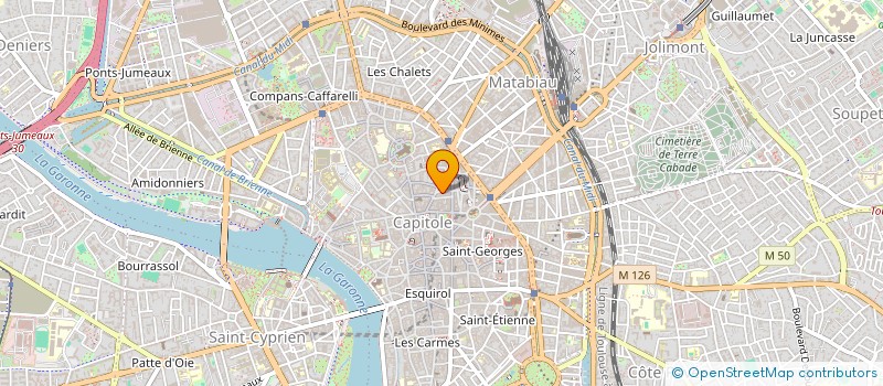 localisation de l'entreprise MONSIEUR LUC FRANCOIS à TOULOUSE