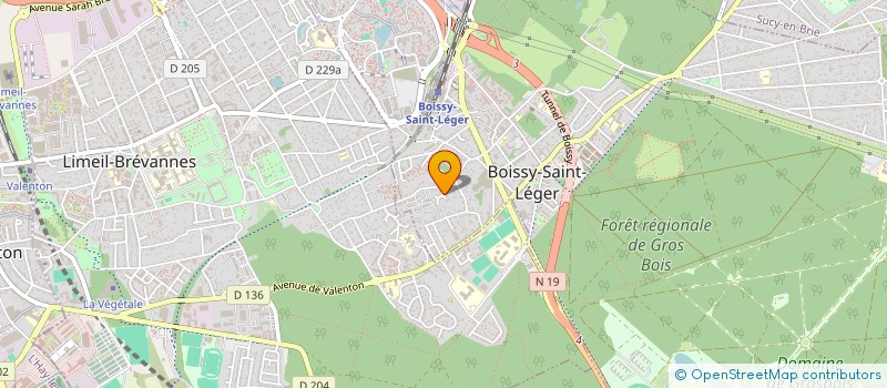 localisation de l'entreprise MONSIEUR LUC HITTINGER à BOISSY-SAINT-LEGER