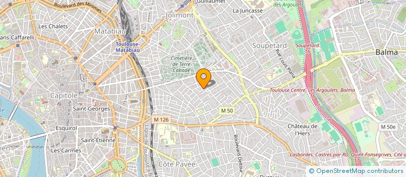 localisation de l'entreprise MONSIEUR LUC LE FRAPER DU HELLEN à TOULOUSE