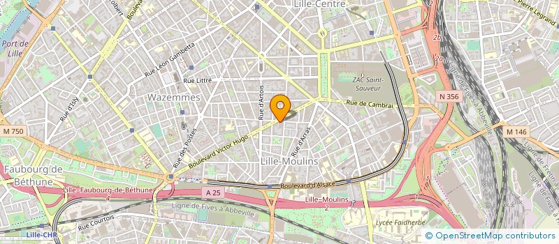 localisation de l'entreprise MONSIEUR LUC LEFEBVRE à LILLE