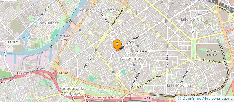 localisation de l'entreprise MONSIEUR LUC LESIGNE à LILLE