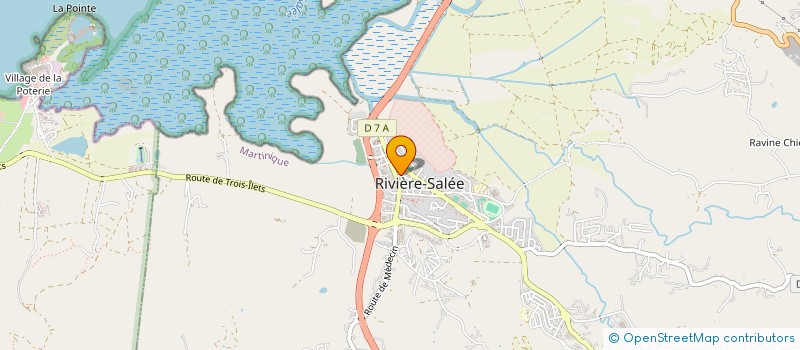 localisation de l'entreprise MONSIEUR LUC LOURI à RIVIERE-SALEE