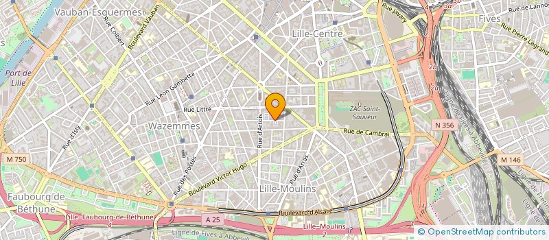 localisation de l'entreprise MONSIEUR LUC LOYANT à LILLE