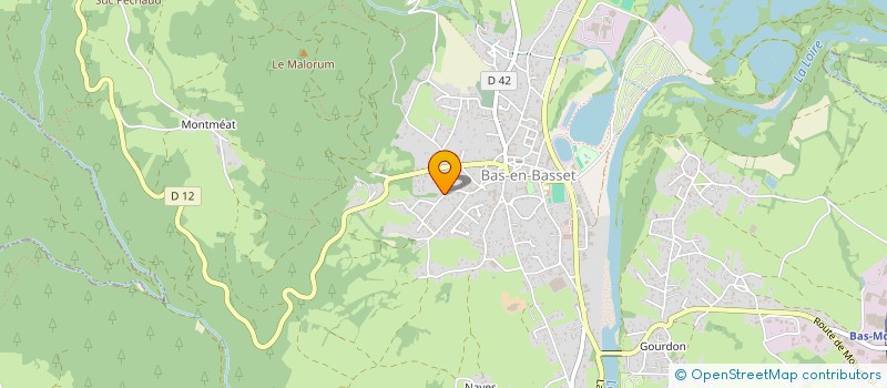 localisation de l'entreprise MONSIEUR LUC MARTIN  BAS-EN-BASSET