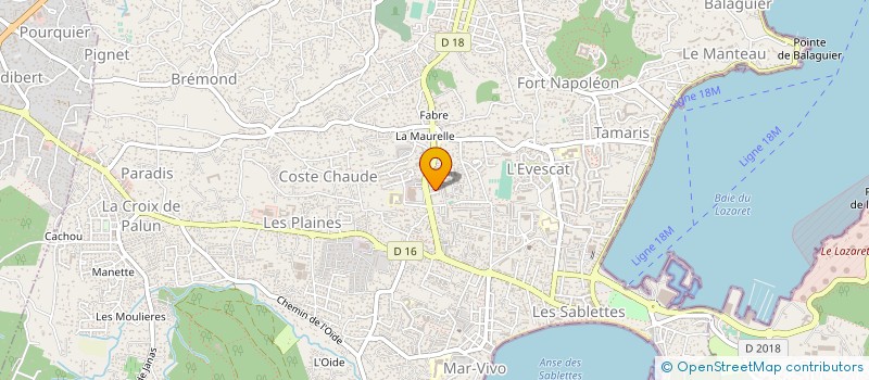 localisation de l'entreprise MONSIEUR LUC MILLOT  LA VALETTE-DU-VAR