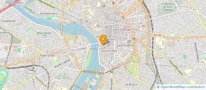 localisation de l'entreprise MONSIEUR LUC NOEL  TOULOUSE