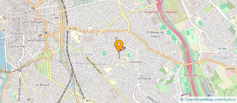 localisation de l'entreprise MONSIEUR LUC PELTIER  TOULOUSE