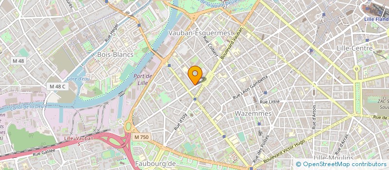 localisation de l'entreprise MONSIEUR LUC PIQUET à LILLE