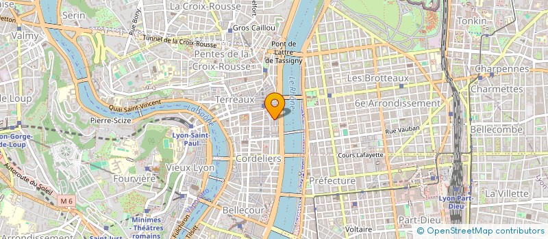localisation de l'entreprise MONSIEUR LUC RIVOIRON à LYON
