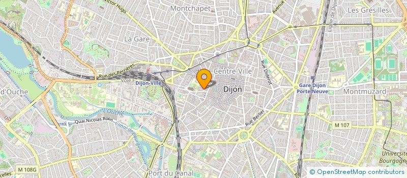 localisation de l'entreprise MONSIEUR LUC SAUGY à DIJON