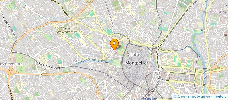 localisation de l'entreprise MONSIEUR LUCA IANELLI à MONTPELLIER