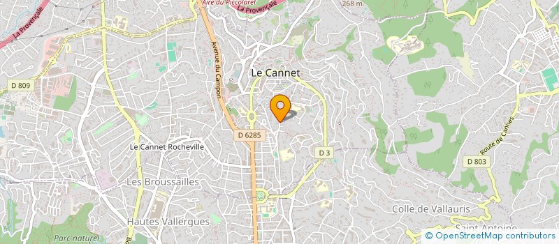 localisation de l'entreprise MONSIEUR LUCA LEONE à LE CANNET