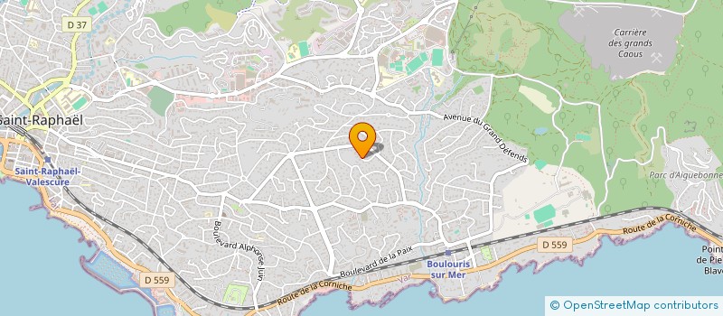 localisation de l'entreprise MONSIEUR LUCA MAGNAN  SAINT-RAPHAEL