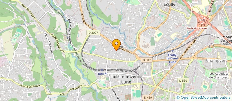 localisation de l'entreprise MONSIEUR LUCA SANGIULIANO à TASSIN-LA-DEMI-LUNE